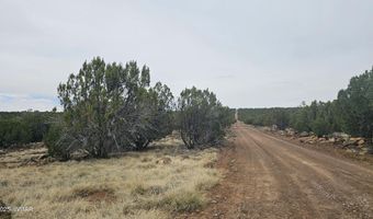 Tbd CR 8065, Concho, AZ 85924