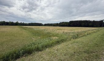 418 Menola St John Rd, Ahoskie, NC 27910