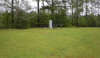 9154 Crooked Run Rd, Adrian, GA 31002