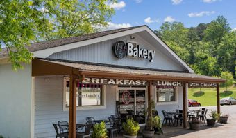 372 Jordan Rd, Ball Ground, GA 30107
