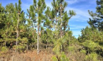 1228 River Rd, Ariton, AL 36311