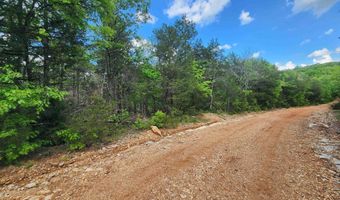 Strawberry Valley Road, Ash Flat, AR 72513