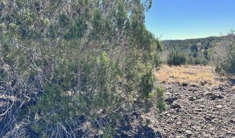 145 SW Reckless Ln, Ash Fork, AZ 86320