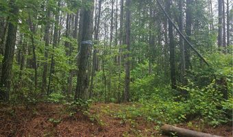 Jim Allred Road, Bankston, AL 35542