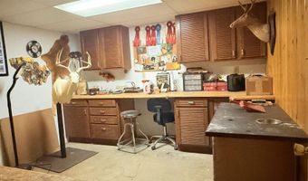 9196 NW Manley Rd, Alden, MI 49612