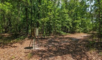 4814 NW 244 Ave, Alachua, FL 32615