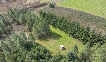 Three Trees Ln, Amity, OR 97101