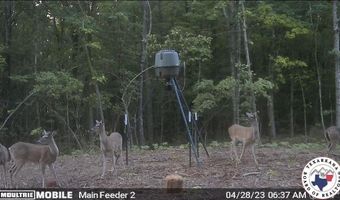 0 CR 3216, De Kalb, TX 75559