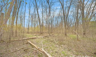 V/L Watts Road, Allegan, MI 49010