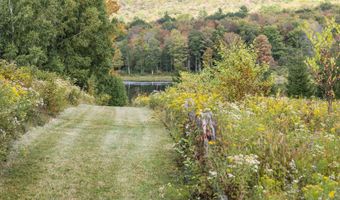 209 Alder Pond Rd, Andes, NY 13731