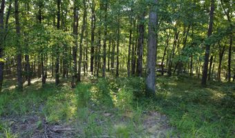 LOT 1 WINDING CREEK LANE Ln, Arley, AL 35541