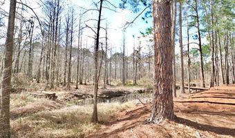 123 Westover Dr, Adel, GA 31620