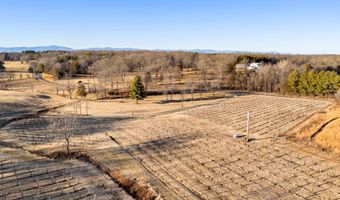 4500 WINERY Ln, Barboursville, VA 22923
