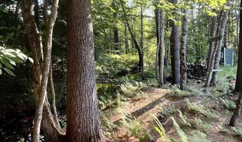 862 Mayhew Tpke 16, Bridgewater, NH 03235