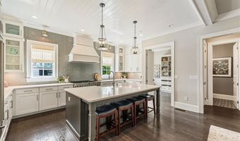 204 Violet Garden Walk, Alpharetta, GA 30004