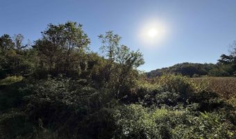 27 Ac. Dougherty Creek Rd, Argyle, WI 53504