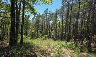 TR 18 & 19 LONG CREEK PASS, Albion, OK 74571