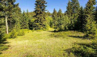 25 Starview Dr, Bigfork, MT 59911