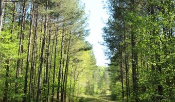 4820 COUNTY ROAD 22, Ashville, AL 35953