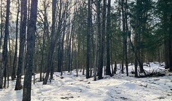 0 Duck Pond Rd, Barton, VT 05822