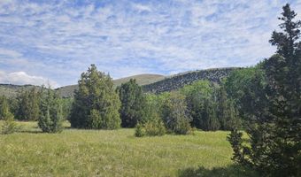 Nhn Lost Creek Rd, Anaconda, MT 59711
