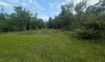 W Long Lake Road, Alpena, MI 49707