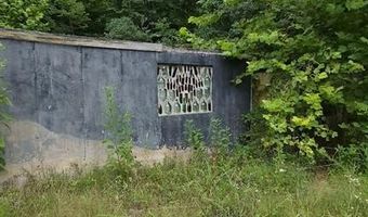 14163 Highway C, Annapolis, MO 63620