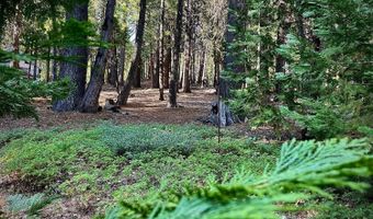 3285 Pocatello Cir, Camp Connell, CA 95223