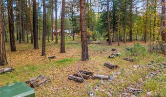 7 2190, Alpine, AZ 85920