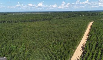 Penny Morris Road, Baxley, GA 31513