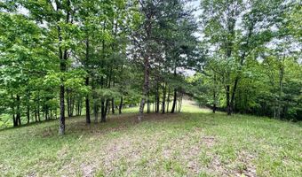 2062 Jake Fork Rd, Arnoldsburg, WV 25234