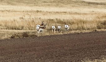 Lot 15 MISTY MOUNTAIN RD, Cheyenne, WY 82009
