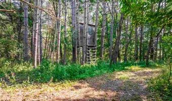 165 NW 150th Ln, Andover, MN 55304