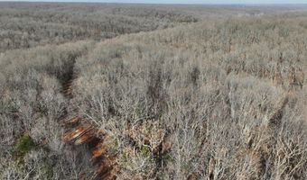 Farm Rd 1187 Lc, Ash Grove, MO 65604