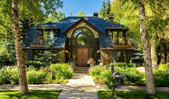 303 W Hopkins Ave, Aspen, CO 81611