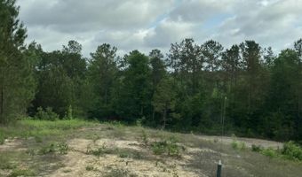 40 Acres Forestry Road 356, Beaumont, MS 39423