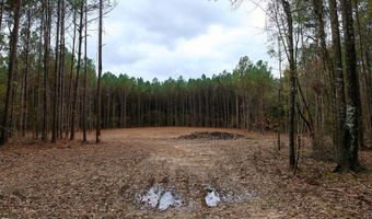 00002 Trickhambridge Rd, Brandon, MS 39042