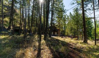 266 Eagle Bend Dr, Bigfork, MT 59911