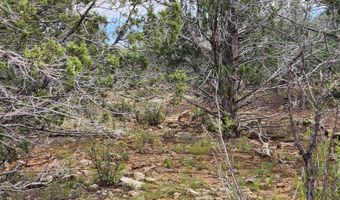 912 Westwood Rnch, Ash Fork, AZ 86320