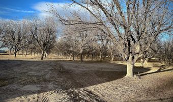 Highway 259, Anthony, NM 88021