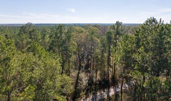 527 Forest Service Rd, Apple Springs, TX 75926