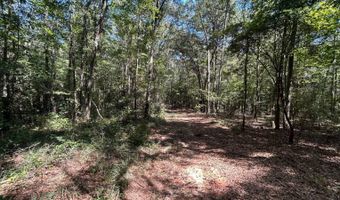 4496 State Hwy 130, Banks, AL 36005