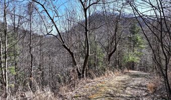 99999 Green Ridge Falls Rd 17, Barnardsville, NC 28709