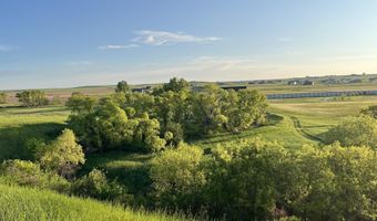 21951 Mandi Ct, Box Elder, SD 57719