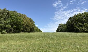 N Osborntown Rd, Arlington, TN 38002