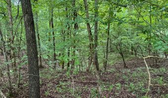 Legacy Shores lot 48, Alberta, AL 36720
