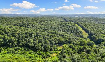 233 Happy Hollow Rd Rd, Anderson, MO 64831