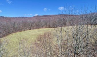 Lot 2 Doig Hollow Road, Andes, NY 13731