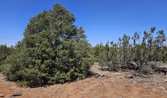 ACR N8388 and N8385, Concho, AZ 85924