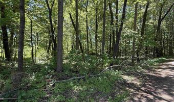 ARROWHEAD ROAD lot 16, Amherst Junction, WI 54407